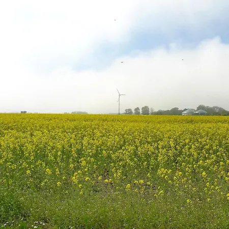 アパート Norderney By Interhome