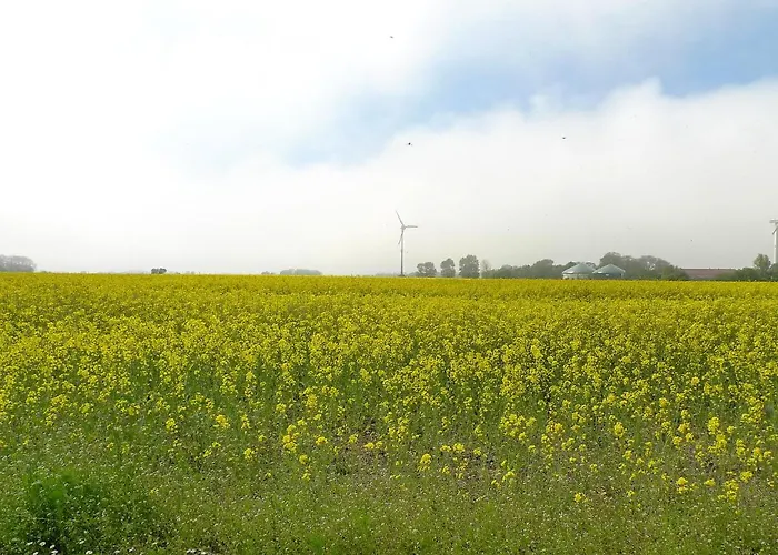 Appartement Norderney By Interhome